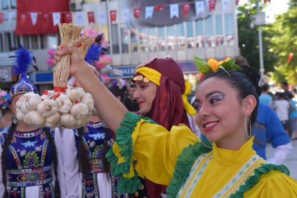 Taşköprü Kültür ve Sarımsak Festivali